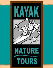 Kayak Nature Tours